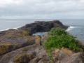 0511-1416 Kiama (1030841)